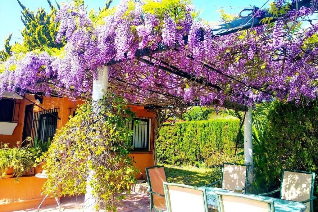 Villa Torrenueva Málaga Buitenkant foto