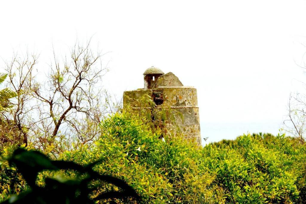 Villa Torrenueva Málaga Buitenkant foto
